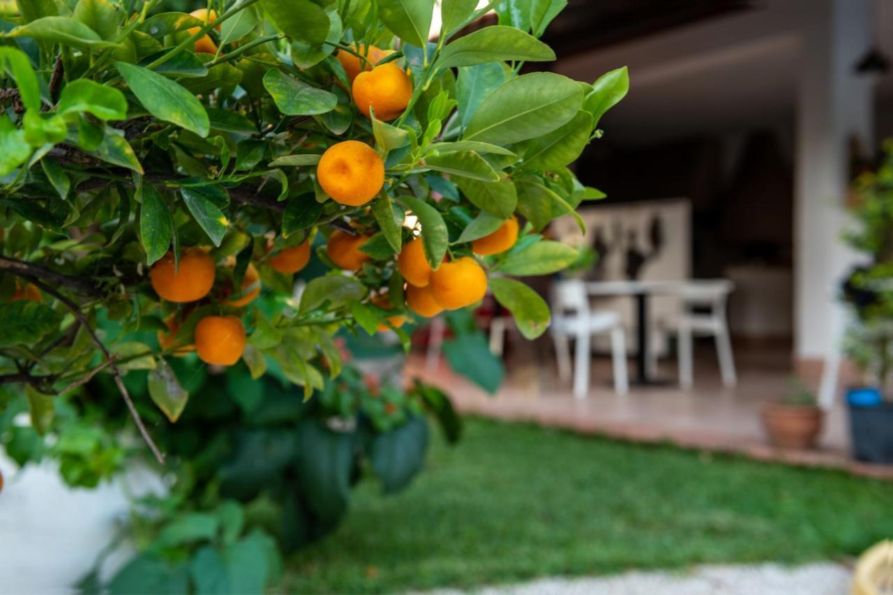 Villa Megna - Green Paradise B&B Palermo Exterior foto
