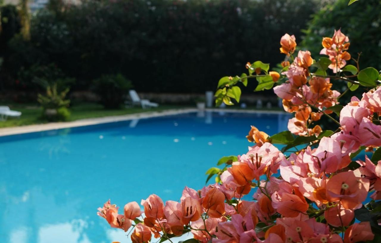 Villa Megna - Green Paradise B&B Palermo Exterior foto