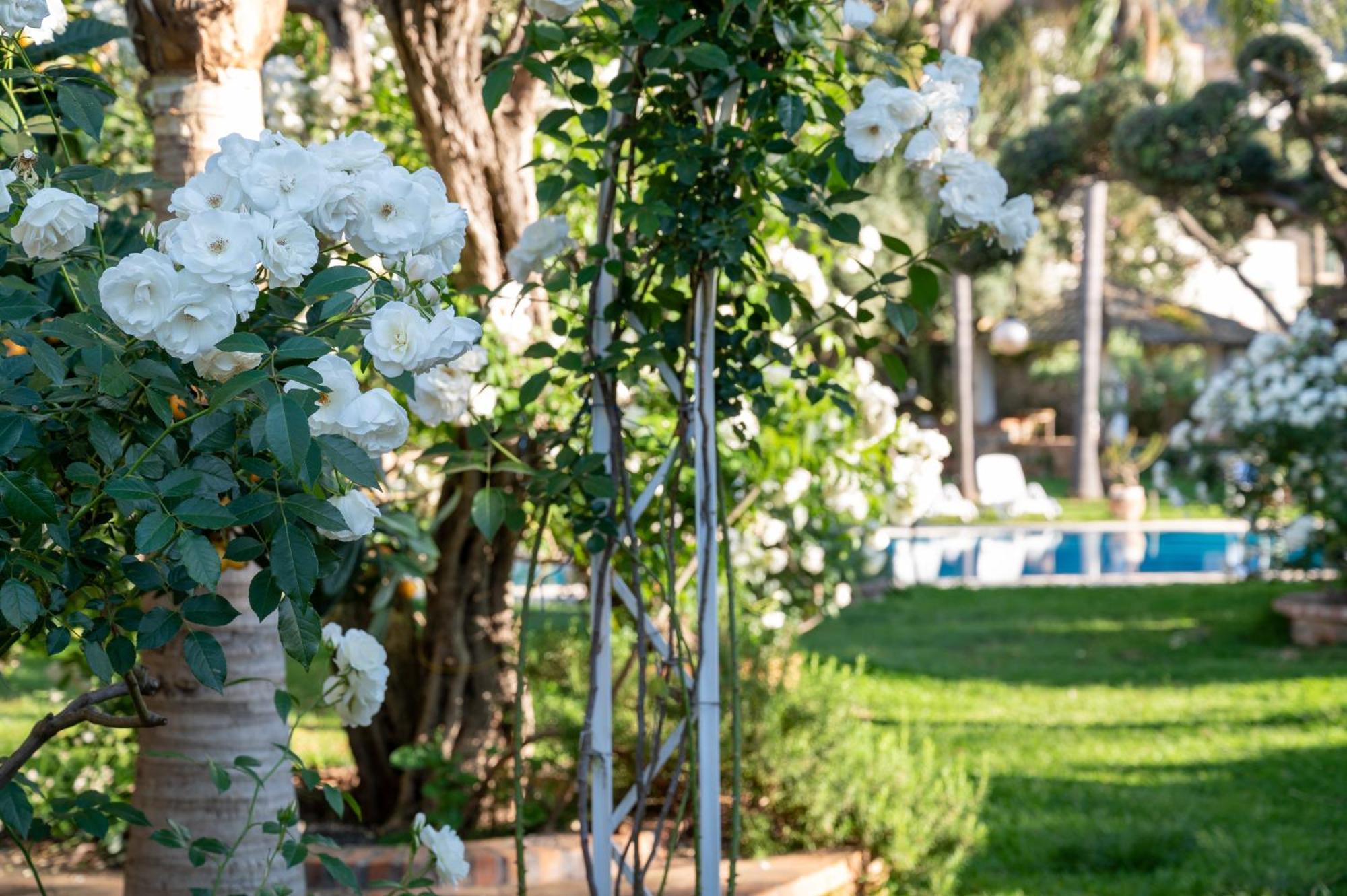 Villa Megna - Green Paradise B&B Palermo Exterior foto